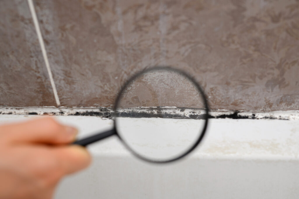 shower mold