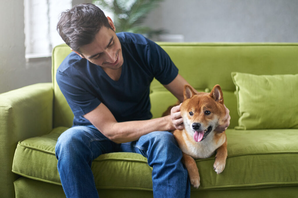 pet sitting