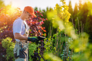 landscaper using tablet